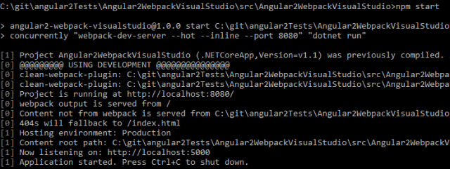 Hot Module Replacement with Angular and Webpack | Software Engineering